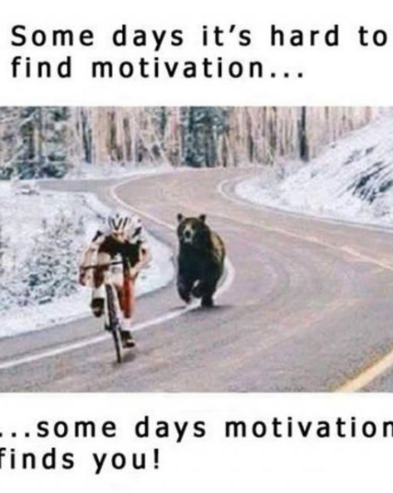 Motivation