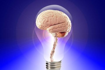Lampe-Gehirn